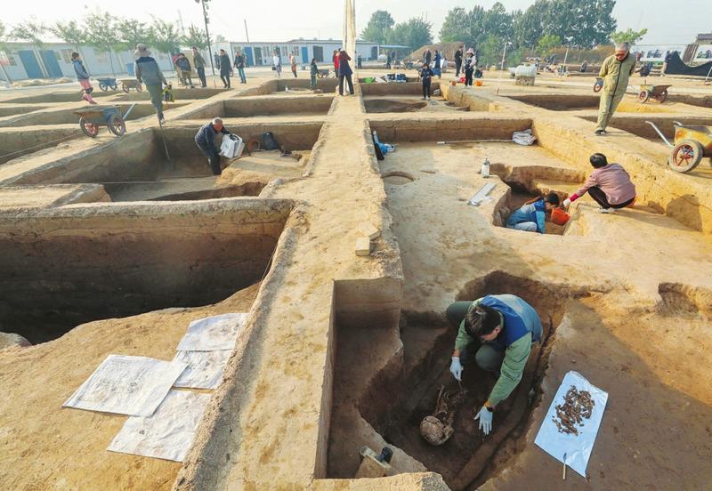 考古队员在夏县辕村遗址进行考古发掘。