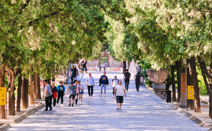 ▲游客可以在这里感受到古人用灵巧的画笔描摹近三百位神仙的盛装集会