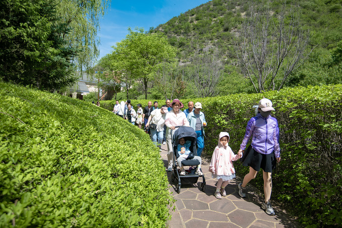 ▲众多游人行走在林荫小道上