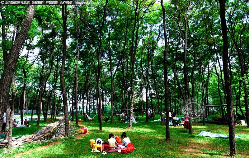 风口山国家森林康养基地度假、康养、避暑纳凉。