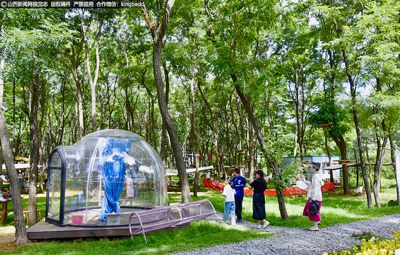 风口山国家森林康养基地度假、康养、避暑纳凉。