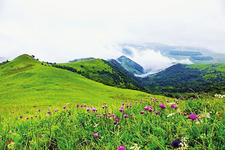 再热的地方也有小确幸