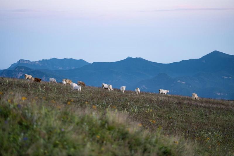 垣曲历山舜王坪的美景。