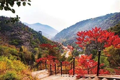 清泉山庄的秋日美景 图片