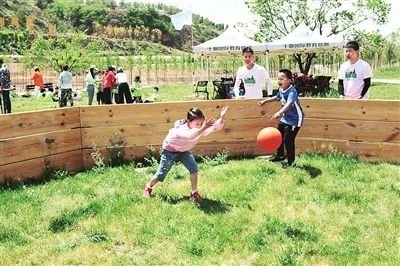 游客在桦桂农业嬉戏娱乐 图片