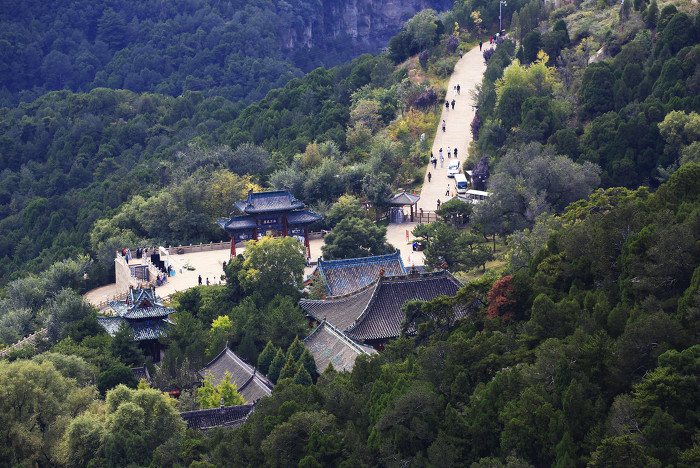 ▲红墙绿瓦处光影闪动,红叶如灼