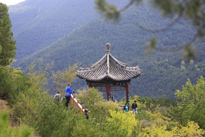 ▲行走在景区的香园小径,黄叶与绿树相伴,别有一番宁静和闲适