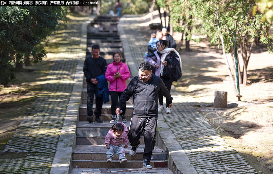 秋日盛景引市民 森林公园乐融融