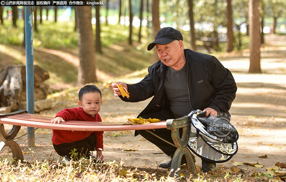 秋日盛景引市民 森林公园乐融融