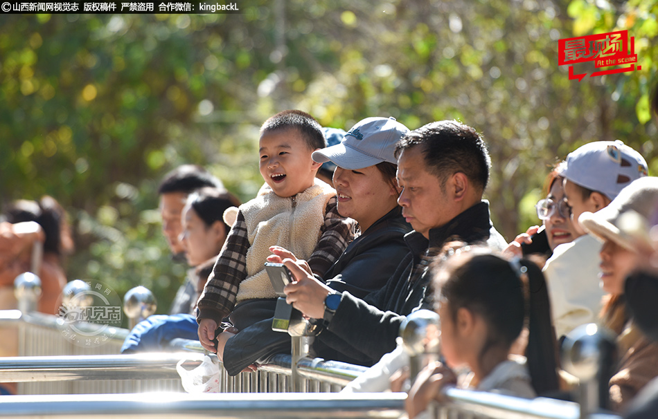 秋日盛景引市民 森林公园乐融融