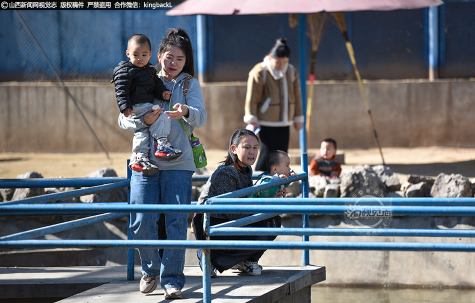 秋日盛景引市民 森林公园乐融融