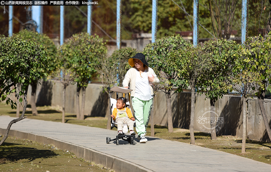秋日盛景引市民 森林公园乐融融