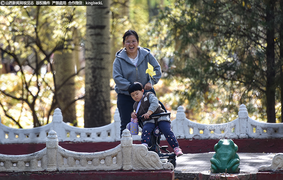 秋日盛景引市民 森林公园乐融融