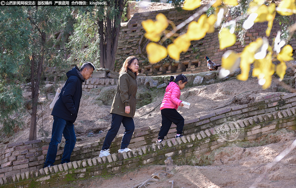 秋日盛景引市民 森林公园乐融融