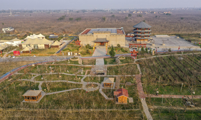 国家板枣公园冬日美景如画