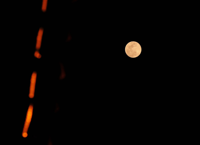 乙巳蛇年元宵节“十五的月亮十五圆”