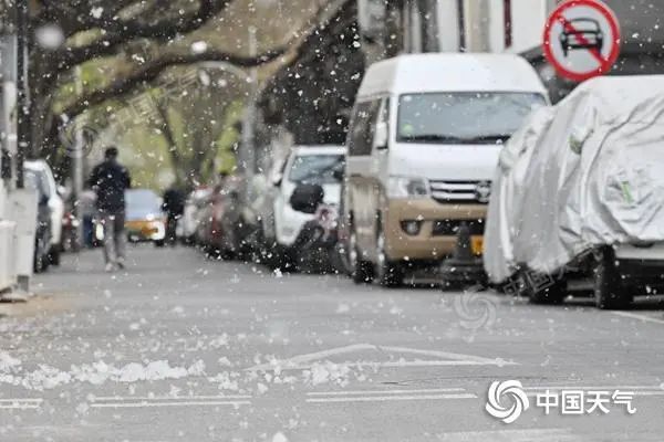 4月8日,北京街头杨柳絮已飘飞。(图/中国天气网 王晓) bqzp