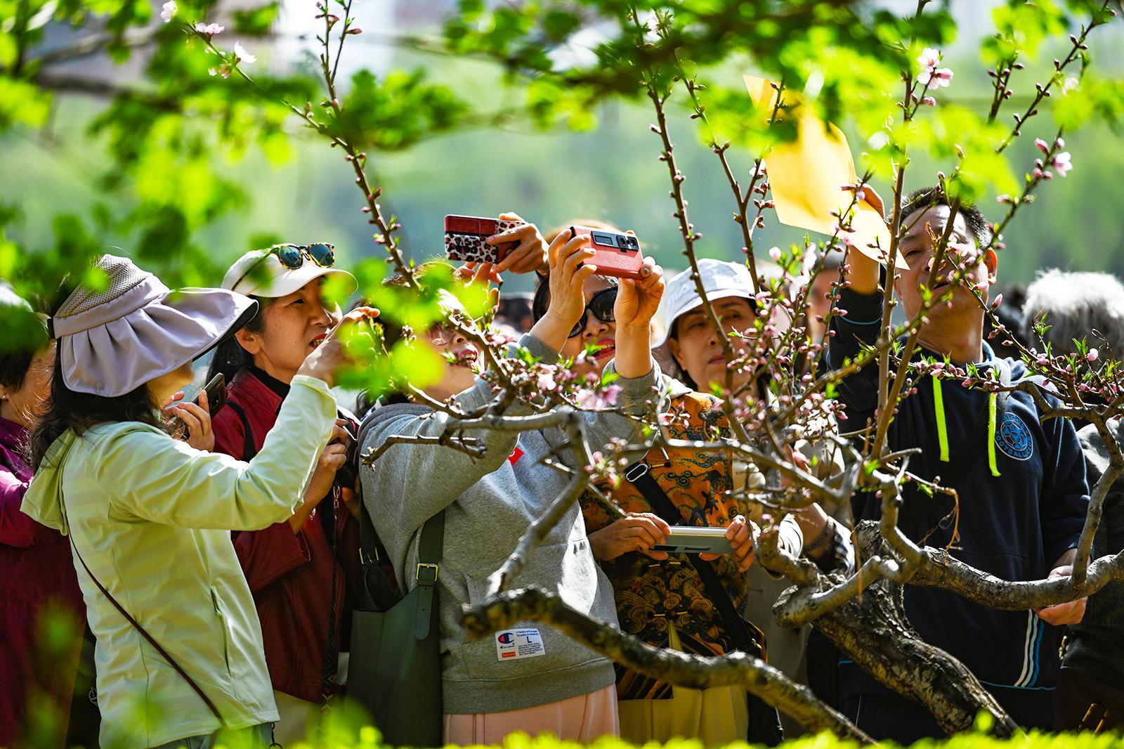 人们共赴“花事”