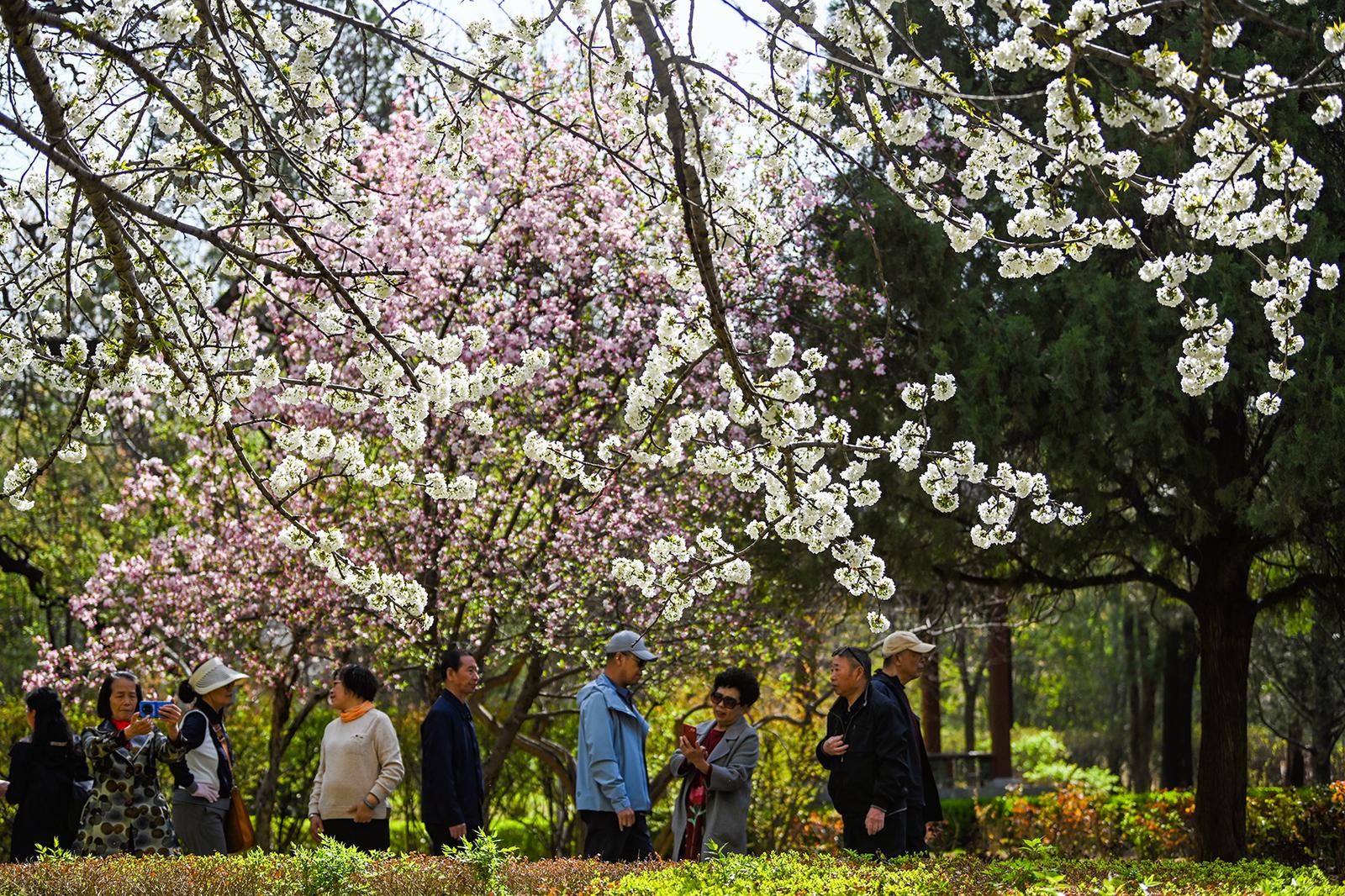 人们共赴“花事”