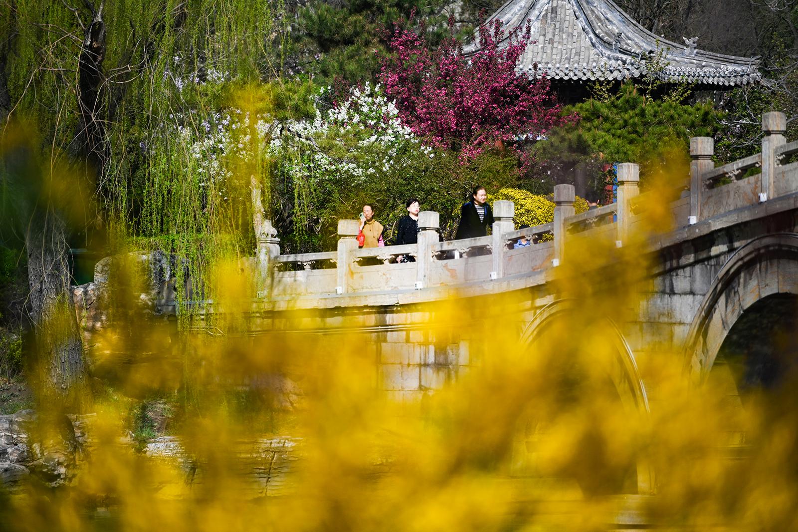 人们共赴“花事”