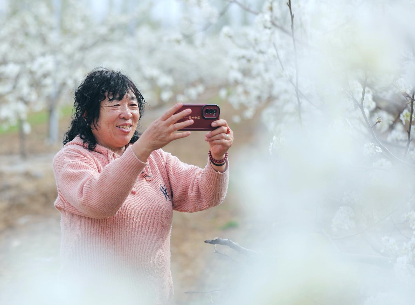 梨香四溢 文旅兴村