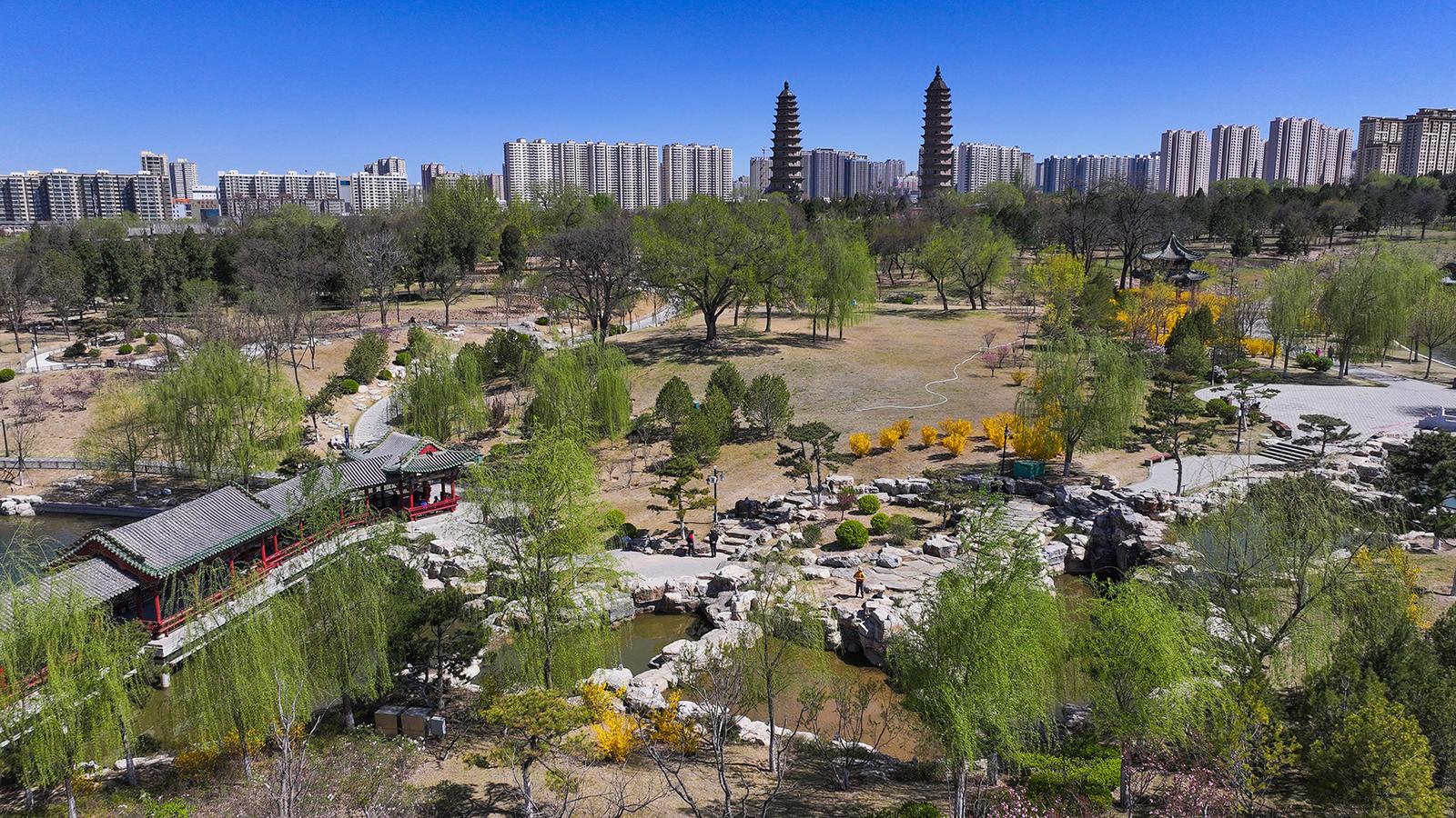 双塔公园春意盎然古韵悠悠