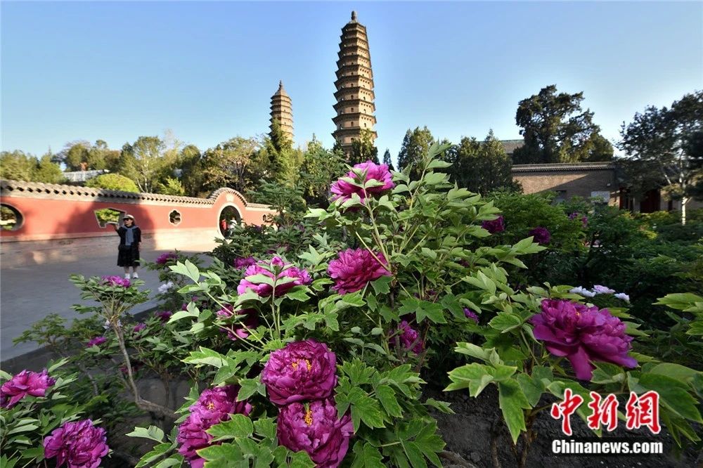 太原城市景观 武俊杰 摄