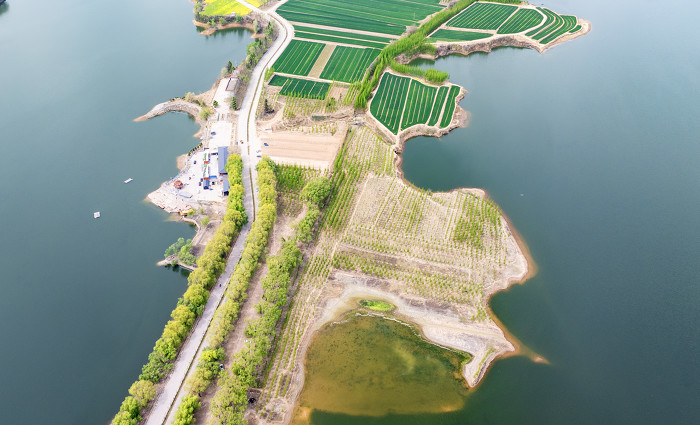 持续发力,擘画生态保护新蓝图