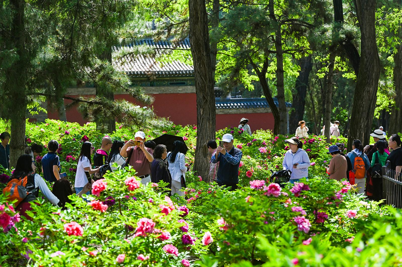 晋祠博物馆内游客纷至沓来