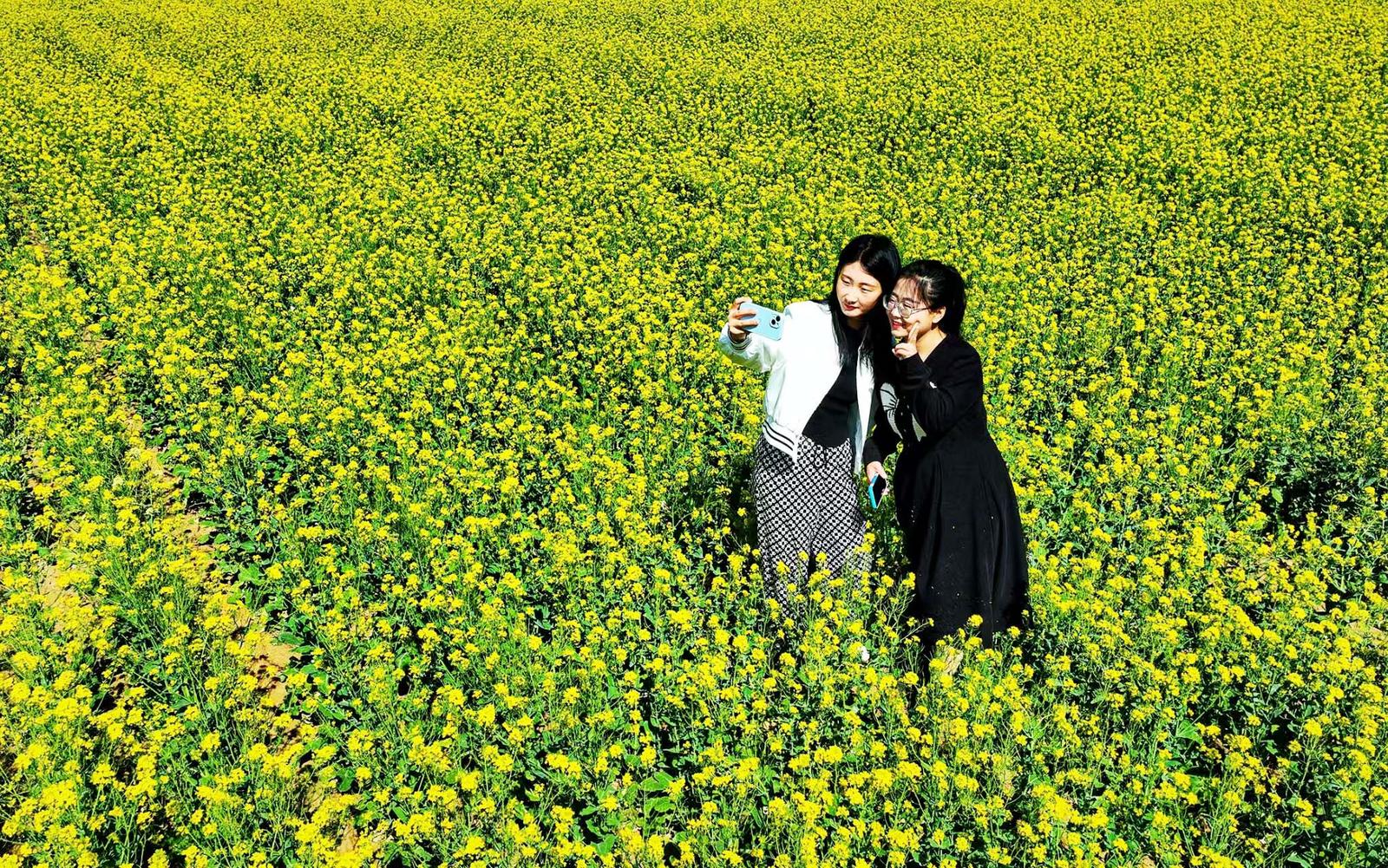 长治市屯留区渔泽镇岗上村的油菜花正竞相绽放,轻风拂过,泛起层层花浪。