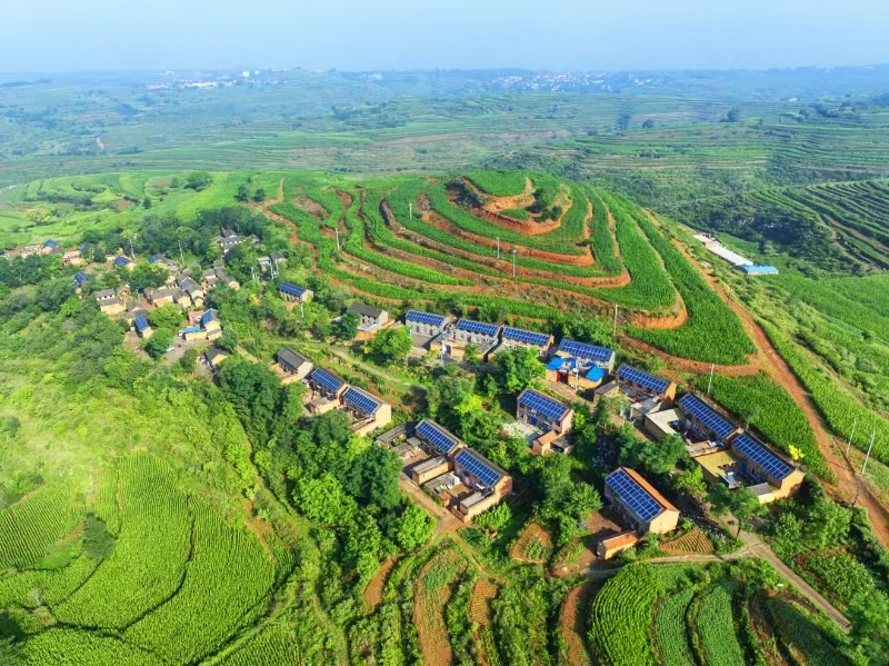 一片蔚蓝“光海”在夏阳中熠熠生辉。