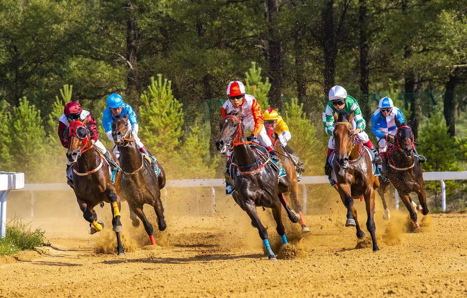 图为在右玉玉龙马园举办的速度赛马比赛。