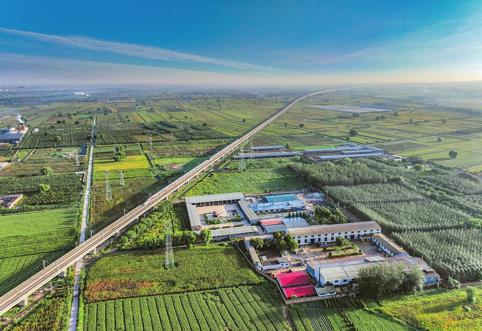 d67902ef5b627a18ec87dc8bbf620318