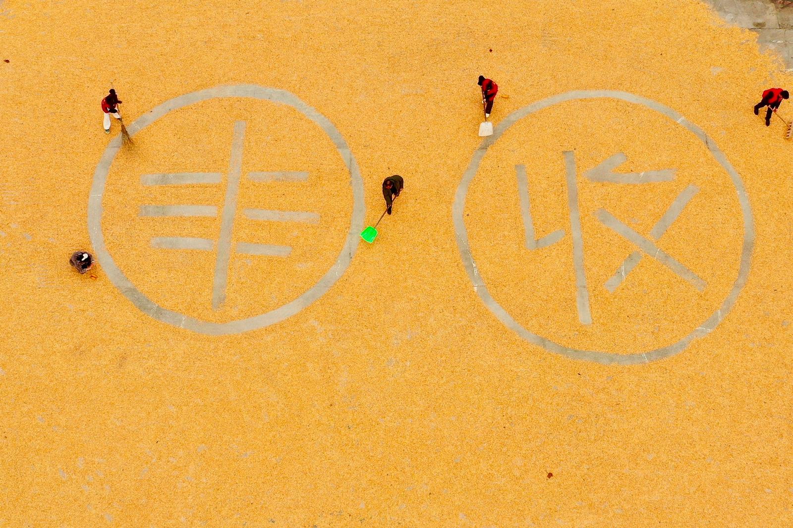 10月31日,山西省运城市平陆县张店镇村民抢抓晴好天气,在晒场、村道旁、农家院落前后等场所脱粒、晾晒玉米,到处是一派繁忙的景象。