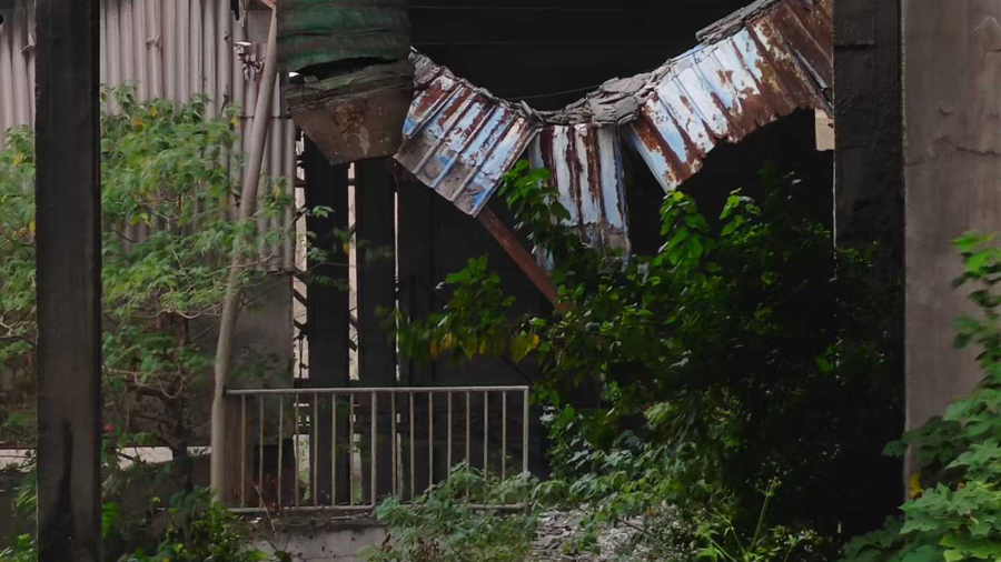 图片来源:上观新闻