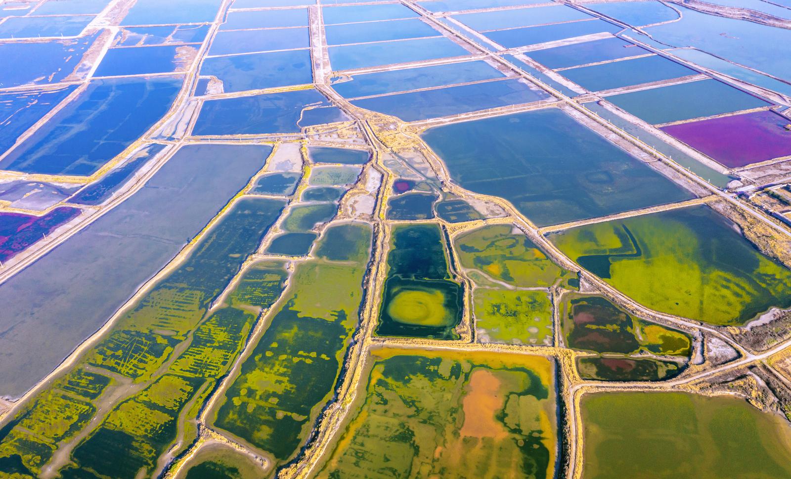 11月13日,航拍镜头下的运城盐湖美景。