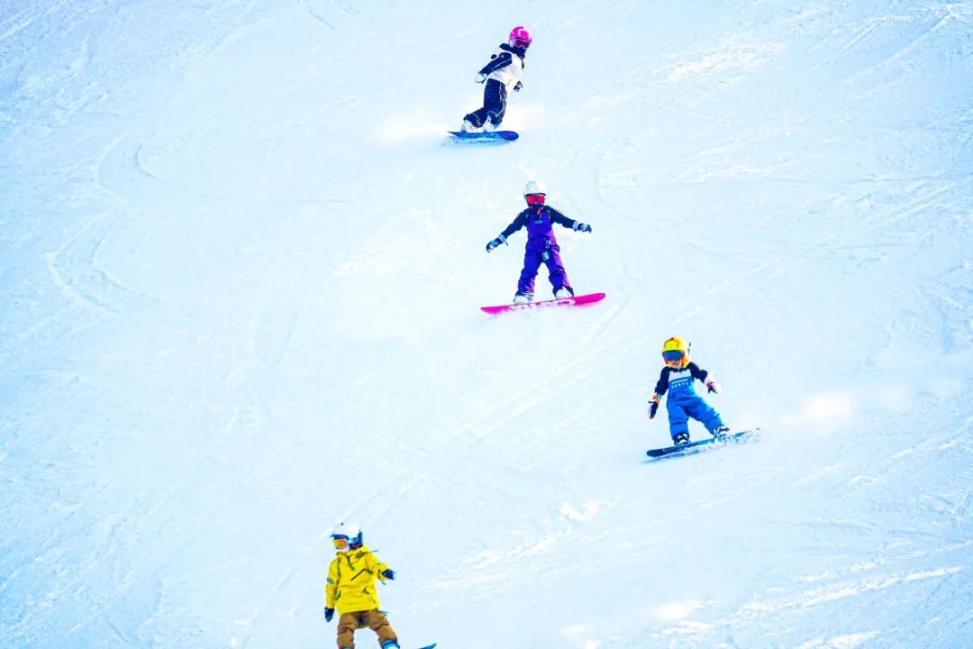 图虫创意-1356149186685042723 (1).jpeg