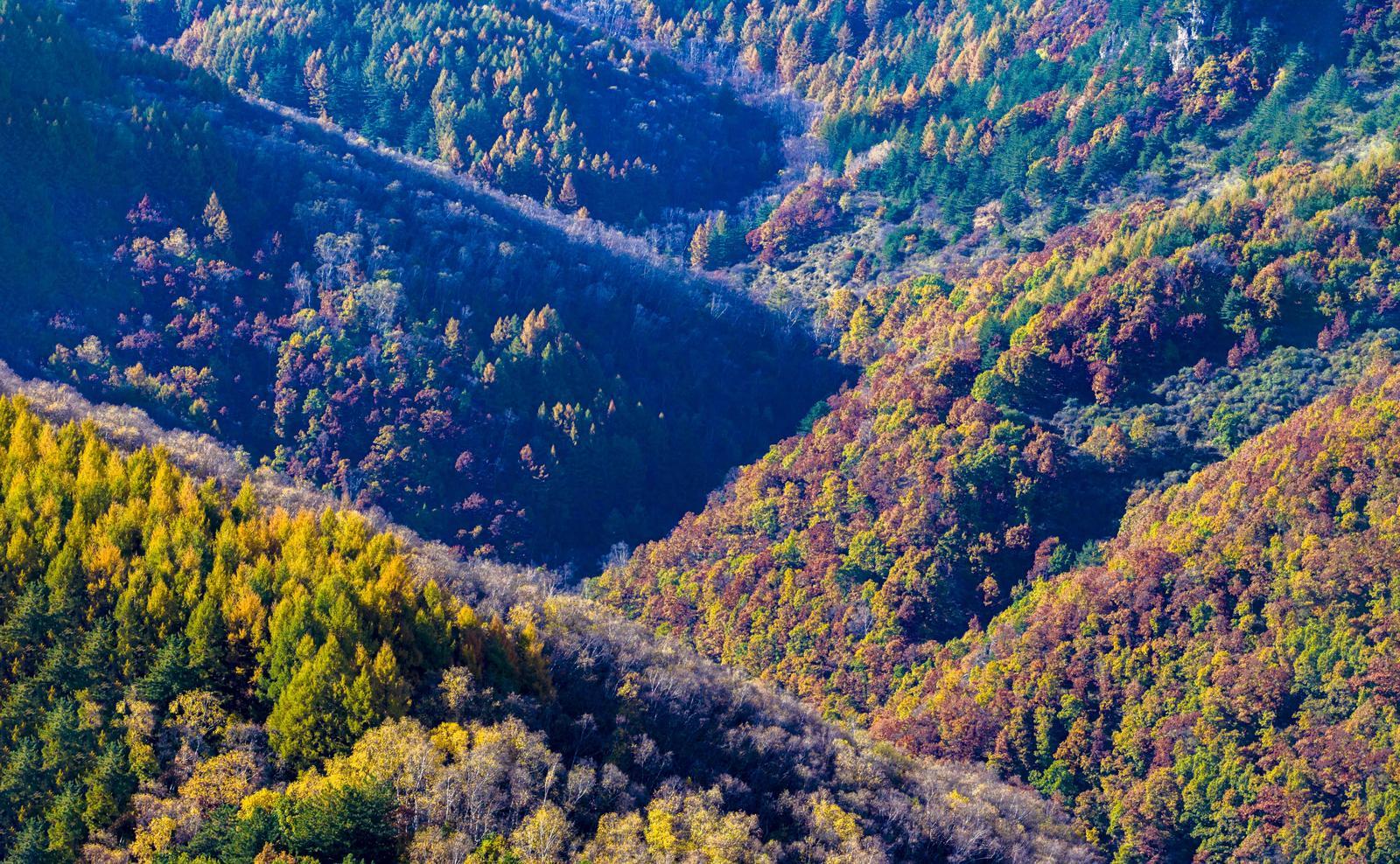 9abe7b29-7e2a-4c20-bf07-0e5da6f47ada_l