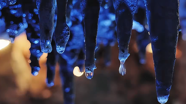 11月12日 (3)(3).png