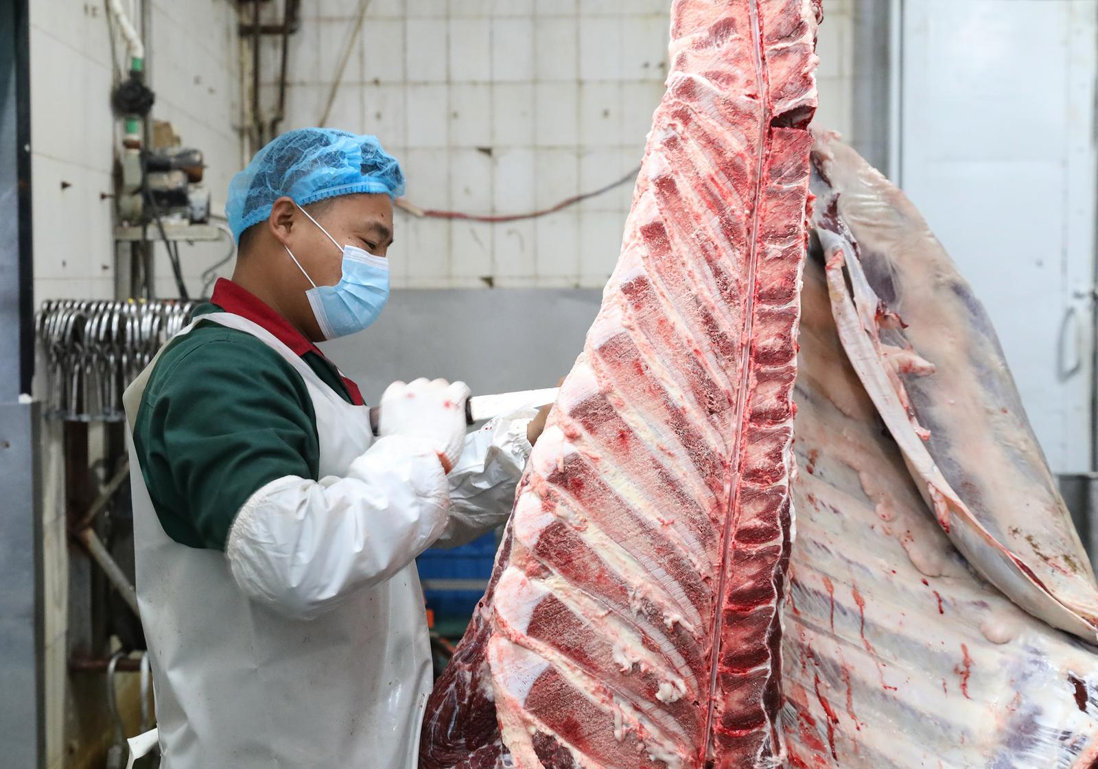 每一头出栏的肉牛、每一块切割的牛肉,都成了市场上的抢手货