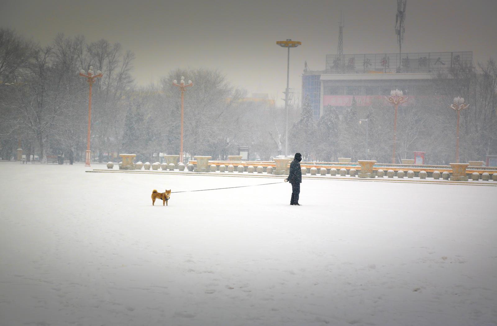 朔州市怀仁公园,老人在雪中赏景。管伟宏 摄