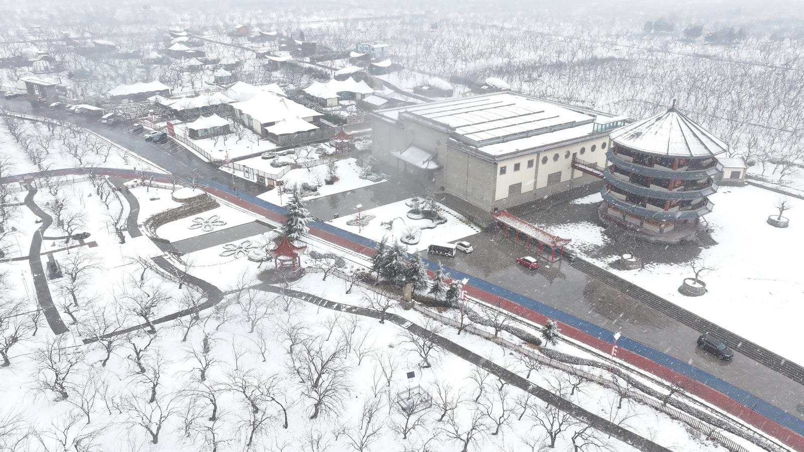 运城市稷山国家板枣公园雪景如画。栗卢建 摄