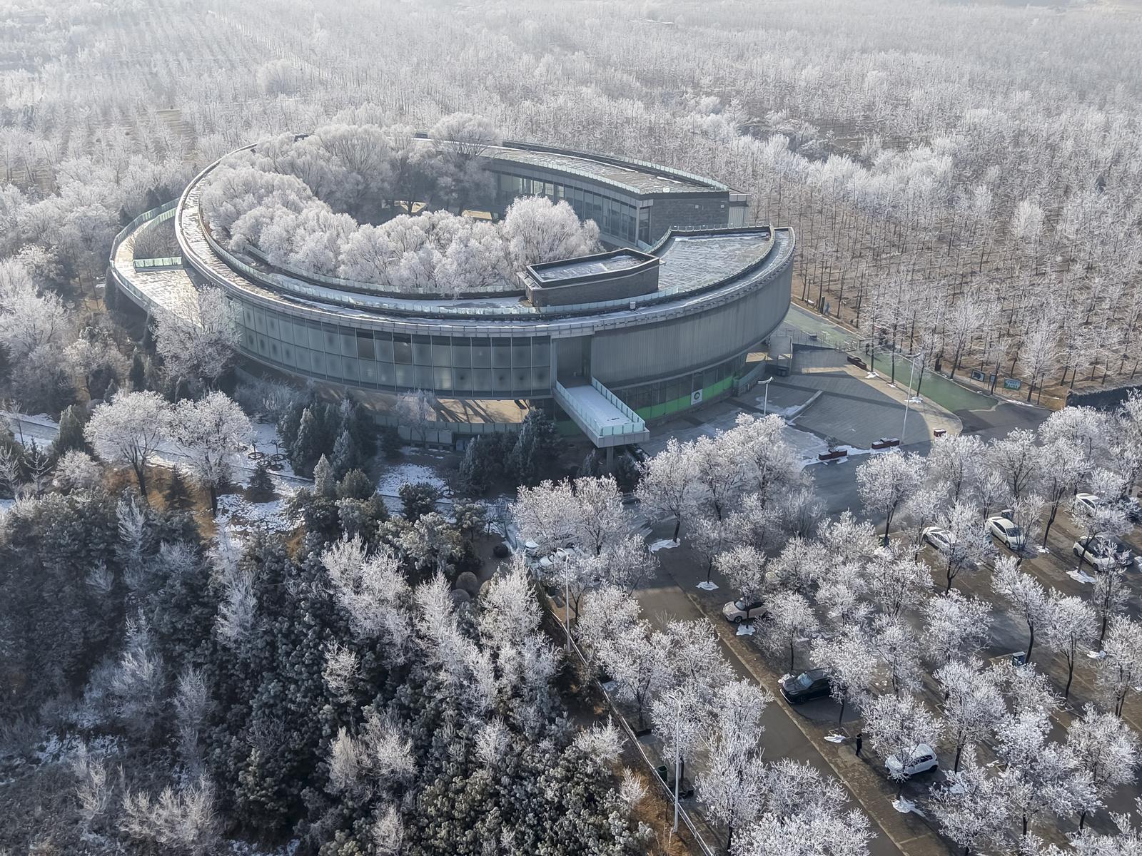 2026年1月5日,晋中百草坡森林植物园出现雾凇美景--张耀宇06