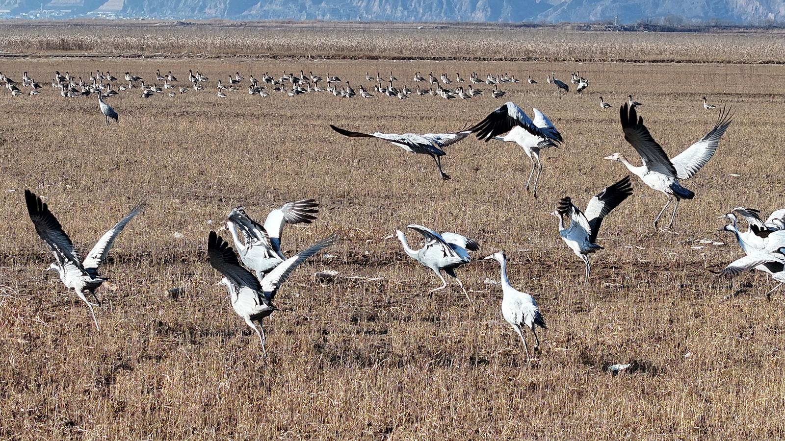 DJI_20260106141832_0011_D