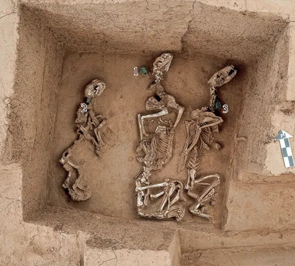 殷墟王陵区一处祭祀坑出土的动物骨骼,数字标注处为铜铃。中国社会科学院考古研究所安阳工作队供图