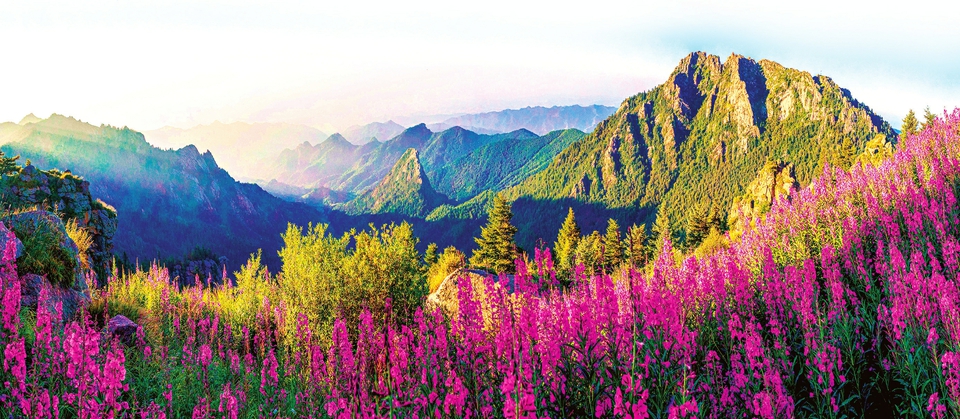 芦芽山秋日风光美不胜收。山西日报通讯员摄