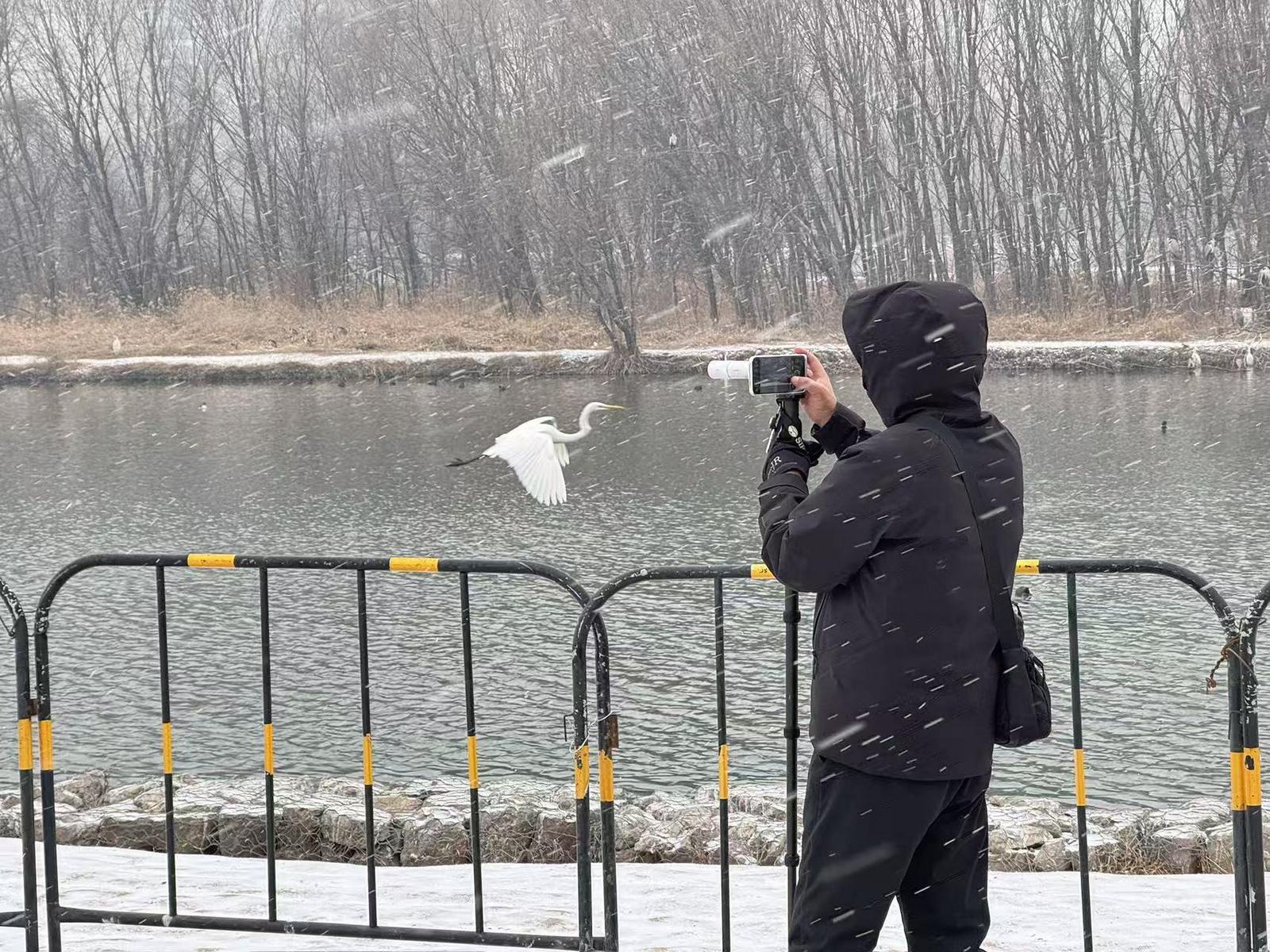 1月25日,太原市汾河湿地公园迎来降雪。