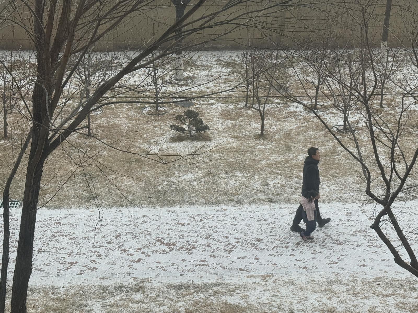 1月25日,在太原市一小区内,市民在雪中散步。