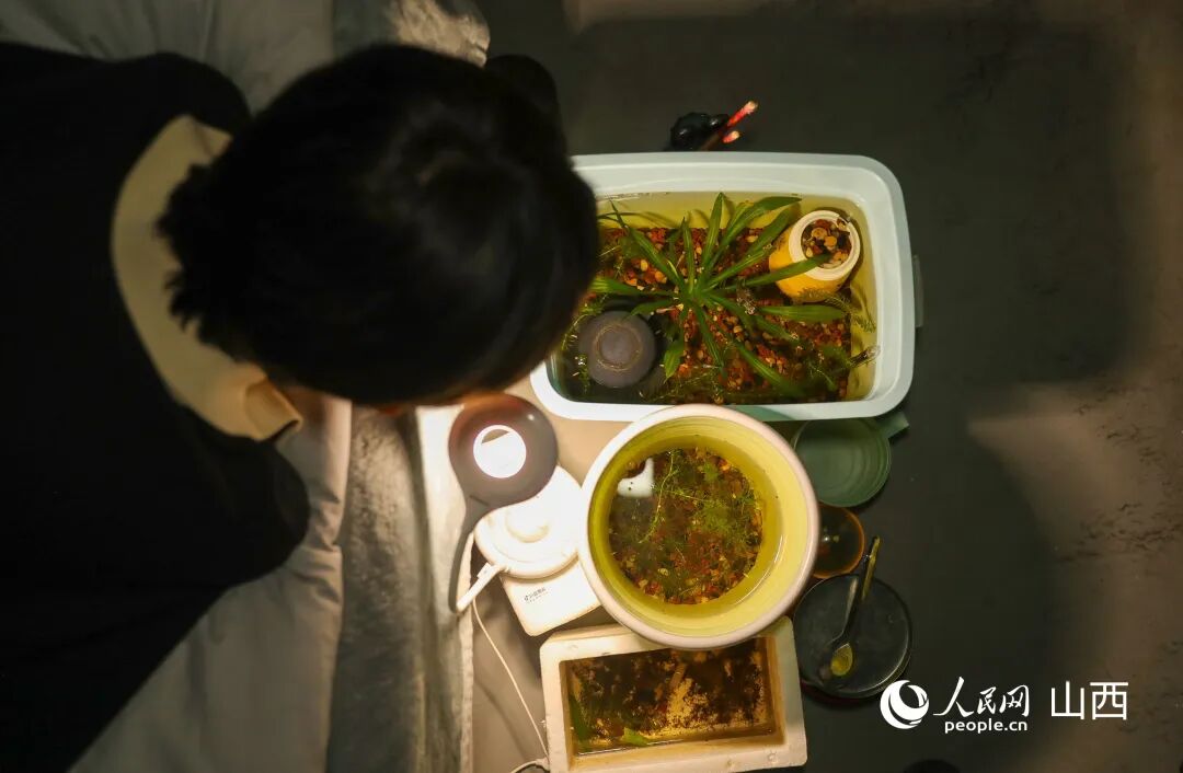 王海港自制的微型生态鱼缸。人民网记者 王帆摄