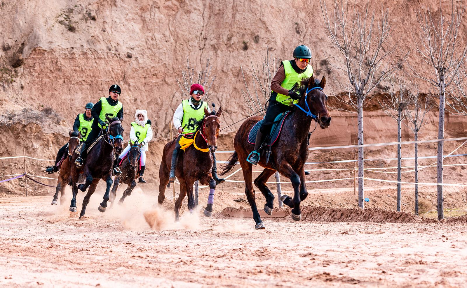 骐骥驰骋!春节期间拍摄于运城市新降县文侯村。折富海 摄